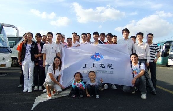 pg电子组织员工赴上海世博会旅行旅游