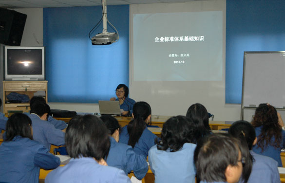 pg电子开展企业标准体系培训