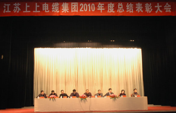 pg电子隆重召开2010年度总结表扬大会