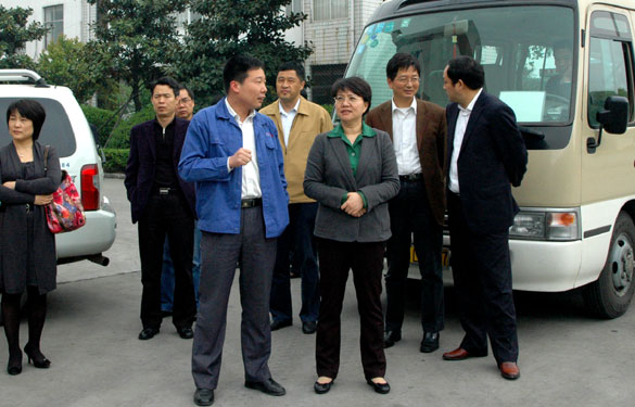 江苏省生态工业园建设协调小组来pg电子集团视察