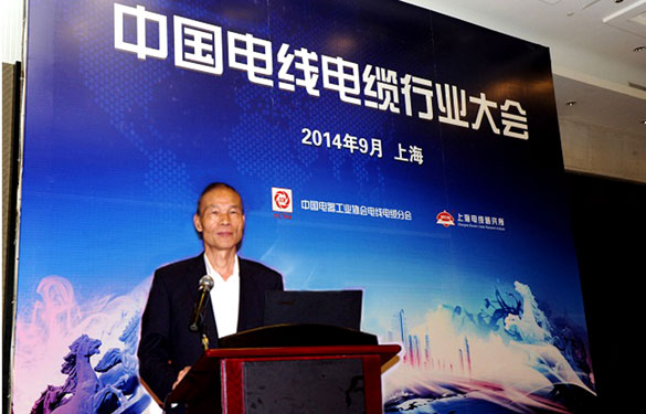 丁山华应邀主持2014中国线缆行业大会专题报告会