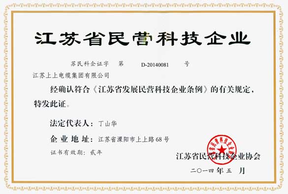 pg电子被评为“江苏省民营科技企业”