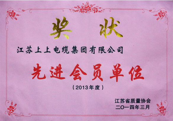 pg电子集团荣获江苏省质量协会2013年度“先进会员单位”称呼