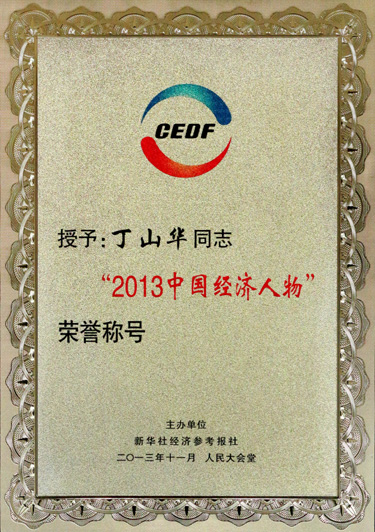 丁山华被授予“2013中国经济人物”荣誉称呼