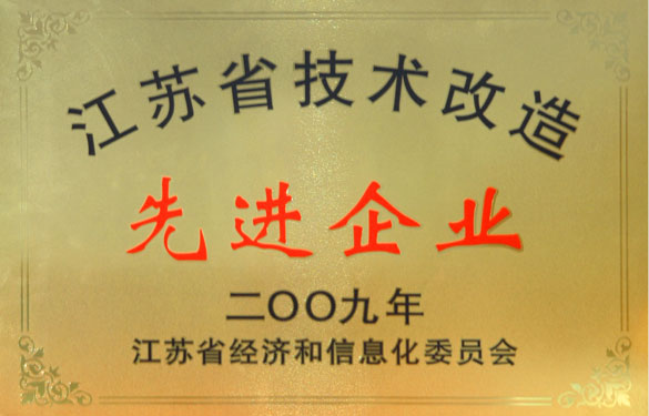 pg电子获“2009年江苏省技术革新先进企业”称呼