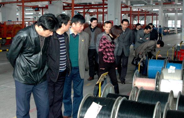 南京沿江工业开发区领导来pg电子集团旅行