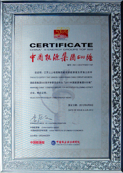 pg电子荣获2011年“中国能源集团500强”