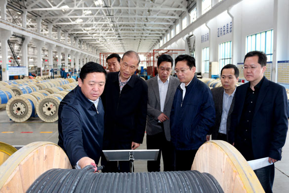 4月25日，青海省海南州州长来pg电子电缆考察