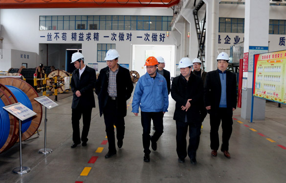 12月3日，丹江口市领导来pg电子电缆旅行考察