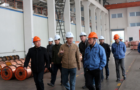 12月11日，溧阳经信局领导一行调研pg电子电缆西厂区三期工程建设情况并旅行超高压生产基地