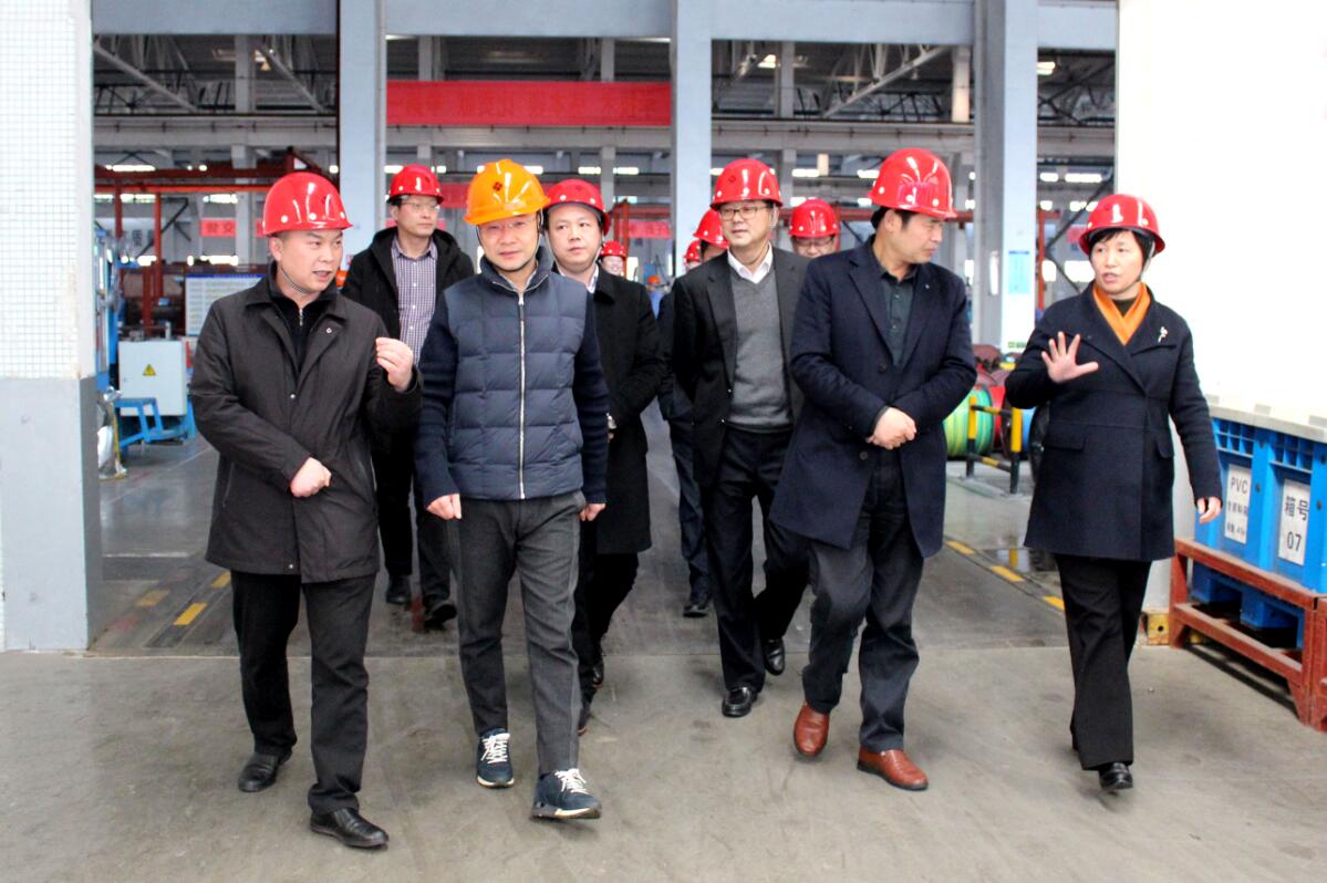 2019年3月7日，广安市岳池县考察团来pg电子电缆旅行考察