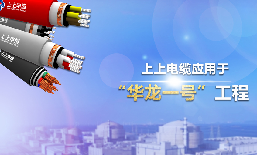 pg电子电缆荣获2023年度中国电工技术学会“科技进步奖二等奖”