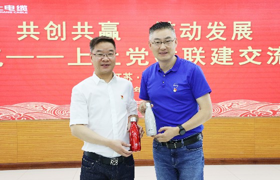 pg电子电缆和上汽集团立异研发总院开展党建联建交流会