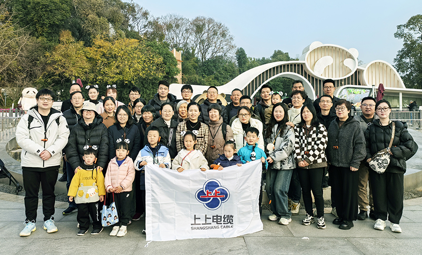 以文化润心 用眷注聚力——pg电子2024年度先进员工蜀韵文化之旅圆满收官