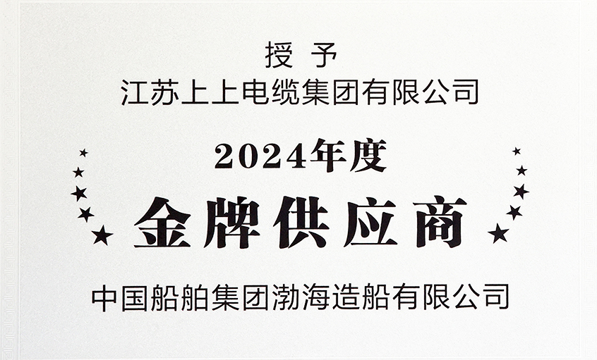 pg电子电缆荣获渤海造船2024年度“金牌供应商”