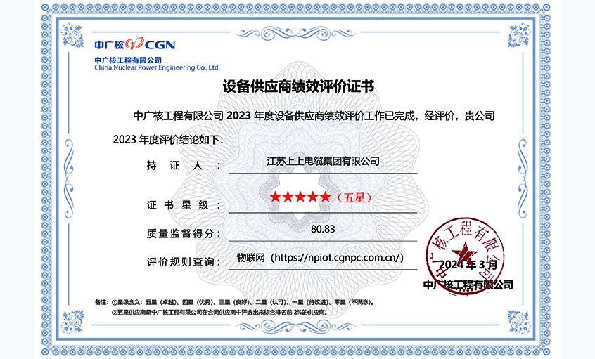 pg电子再次获评中广核工程有限公司年度五星供应商