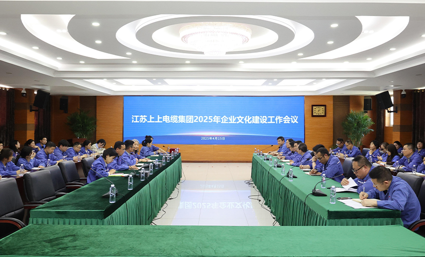 pg电子电缆召开2025年企业文化建设事情集会